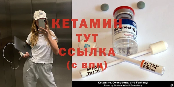 шишки Аркадак