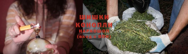 амф Арсеньев