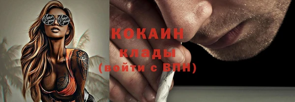 шишки Аркадак