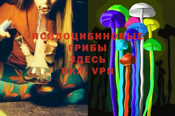 шишки Аркадак