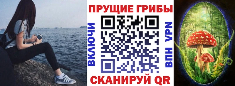 Псилоцибиновые грибы мицелий KRAKEN ТОР Руза